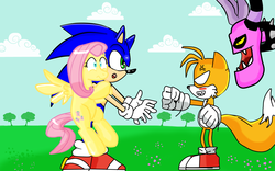 Size: 1680x1050 | Tagged: safe, artist:kaiamurosesei, fluttershy, zeti, g4, angry, commission, crossover, crossover shipping, fluttersonic, male, miles "tails" prower, sonic lost world, sonic the hedgehog, sonic the hedgehog (series), zazz