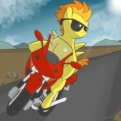 Size: 1024x1024 | Tagged: safe, artist:sunset-haste, spitfire, pony, g4, female, motorcycle, riding, solo, sunglasses