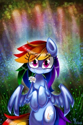 Size: 1661x2500 | Tagged: dead source, safe, artist:kaliptro, rainbow dash, g4, blushing, female, flower, flower in mouth, mouth hold, solo