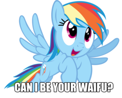 Size: 1024x823 | Tagged: safe, rainbow dash, pegasus, pony, g4, bronybait, female, image macro, mare, solo, waifu