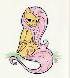 Size: 1024x1137 | Tagged: dead source, safe, artist:nicole gauss, fluttershy, pegasus, pony, g4, bedroom eyes, female, fim crew, looking at you, looking back, simple background, sitting, smiling, solo, traditional art, white background