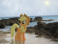 Size: 1032x774 | Tagged: safe, artist:rdbrony16, applejack, g4, beach, female, ponies in real life, solo