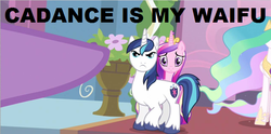 Size: 640x317 | Tagged: safe, princess celestia, queen chrysalis, shining armor, twilight sparkle, g4, fake cadance, frown, glare, image macro, pointing, waifu, wide eyes