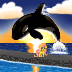 Size: 1200x1200 | Tagged: safe, artist:starorca, fluttershy, orca, pegasus, pony, whale, g4, crossover, free willy, jumping, ocean, parody, sunset, water, willy
