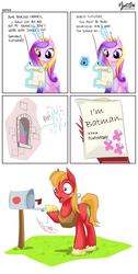 Size: 1100x2178 | Tagged: safe, artist:mysticalpha, edit, big macintosh, fluttershy, princess cadance, earth pony, pony, g4, batman, comic, fluttershy's letter, male, stallion