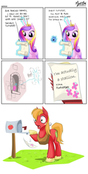 Size: 1100x2178 | Tagged: safe, artist:mysticalpha, edit, big macintosh, fluttershy, princess cadance, g4, comic, fluttershy's letter, meme, rule 63