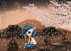 Size: 1052x759 | Tagged: safe, artist:stein-vs, dj pon-3, vinyl scratch, g4, cherry blossoms, female, flower, solo, tree, wallpaper