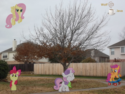 Size: 1172x879 | Tagged: safe, artist:wolfjava, apple bloom, fluttershy, scootaloo, sweetie belle, g4, cutie mark crusaders, irl, photo, ponies in real life, tree, vector, yard