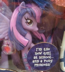 Size: 1161x1280 | Tagged: safe, twilight sparkle, equestria girls, g4, equestria girls prototype, female, i'm a princess are you a princess too?, irl, photo, pony princess, pretty pony princess, toy, twilight sparkle (alicorn)
