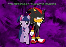 Size: 3500x2500 | Tagged: safe, artist:lightdegel, twilight sparkle, g4, blushing, crossover, crossover shipping, female, interspecies, love, male, shadow the hedgehog, shadtwi, shipping, sonic the hedgehog, sonic the hedgehog (series), straight