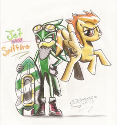 Size: 5100x5466 | Tagged: safe, artist:chikisxsxs210, spitfire, g4, absurd resolution, commission, crossover, jet the hawk, male, sonic the hedgehog (series), traditional art