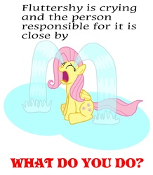 Size: 1241x1423 | Tagged: safe, fluttershy, g4, bronybait, crying, female, flutterbuse, meme, ocular gushers, solo, text, what do