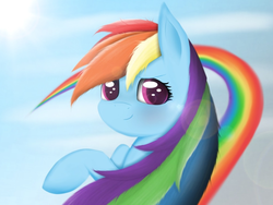 Size: 1024x768 | Tagged: safe, artist:gromektwist, rainbow dash, g4, female, solo