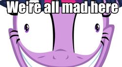 Size: 958x524 | Tagged: safe, twilight sparkle, g4, alice in wonderland, cheshire cat, close-up, female, image macro, insanity, solo, twilight snapple, we're all mad here