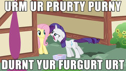 Size: 1920x1080 | Tagged: safe, screencap, fluttershy, rarity, g4, ermahgerd, faic