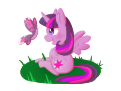 Size: 1600x1200 | Tagged: safe, artist:amberdragonling, twilight sparkle, alicorn, butterfly, caterpillar, pony, g4, cute, female, mare, simple background, sitting, solo, transparent background, twilight sparkle (alicorn)