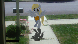 Size: 1024x576 | Tagged: safe, artist:goldenponyz, derpy hooves, pegasus, pony, g4, female, irl, mare, photo, ponies in real life, solo