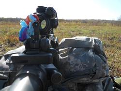 Size: 960x720 | Tagged: safe, rainbow dash, g4, aimpoint, ar-15, blind bag, figure, gun, irl, military, photo, reflex sight, toy