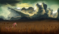 Size: 1000x579 | Tagged: safe, artist:psychoanalytic, fluttershy, g4, female, field, scenery, solo, storm