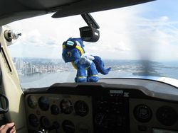 Size: 2592x1944 | Tagged: artist needed, safe, soarin', pegasus, pony, g4, clothes, cockpit, irl, photo, plane, plushie, ponies around the world, spread wings, toy, uniform, vehicle interior, wings, wonderbolts uniform