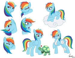 Size: 900x698 | Tagged: safe, artist:vendaris, rainbow dash, tank, g4, bandage, cloud, heart, injured