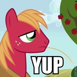 Size: 360x360 | Tagged: safe, big macintosh, earth pony, pony, g4, image macro, male, reaction image, solo, stallion