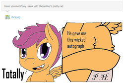 Size: 718x479 | Tagged: safe, artist:shadesofeverfree, scootaloo, ask shredder-loo, g4, ask, autograph, skin, tumblr