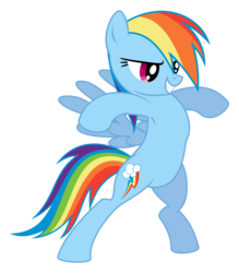Size: 7000x8000 | Tagged: safe, artist:emberfiremane, rainbow dash, pegasus, pony, g4, may the best pet win, absurd resolution, armpits, bipedal, female, mare, puffed chest, simple background, solo, transparent background, vector