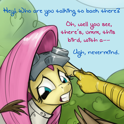 Size: 640x640 | Tagged: safe, fluttershy, gilda, griffon, ask-dr-adorable, g4