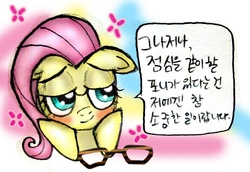 Size: 586x402 | Tagged: safe, fluttershy, g4, female, flutter-nerd, korean, solo