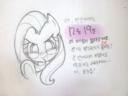 Size: 640x480 | Tagged: safe, fluttershy, g4, female, flutter-nerd, korean, solo