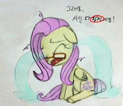 Size: 515x448 | Tagged: safe, fluttershy, g4, crying, female, flutter-nerd, korean, ocular gushers, solo