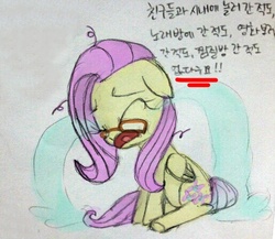 Size: 515x448 | Tagged: safe, fluttershy, g4, crying, female, flutter-nerd, korean, ocular gushers, solo