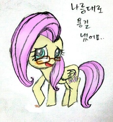 Size: 379x412 | Tagged: safe, fluttershy, g4, female, flutter-nerd, korean, solo