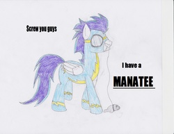 Size: 3299x2549 | Tagged: safe, artist:flutterborn, soarin', g4, male, manatee, pet, solo, traditional art
