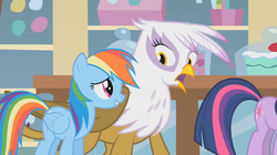 Size: 1023x572 | Tagged: safe, screencap, gilda, rainbow dash, twilight sparkle, griffon, pegasus, pony, g4, griffon the brush off, my little pony: friendship is magic, female, looking at each other, looking at someone, mare