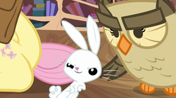 Size: 1023x574 | Tagged: safe, screencap, angel bunny, fluttershy, owlowiscious, g4, just for sidekicks, my little pony: friendship is magic, angel is a bunny bastard