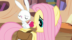 Size: 1023x574 | Tagged: safe, screencap, angel bunny, fluttershy, pony, g4, just for sidekicks, my little pony: friendship is magic