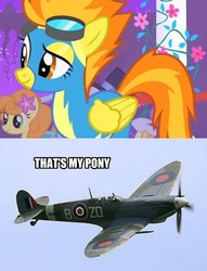 Size: 450x588 | Tagged: safe, spitfire, g4, aircraft, caption, fighter, image macro, meme, namesake, plane, raf, supermarine spitfire, that's my pony, that's my x