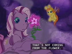 Size: 640x480 | Tagged: safe, screencap, wysteria, zipzee, breezie, earth pony, pony, g3, the princess promenade, flower, out of context, princess flower, smell, subtitles