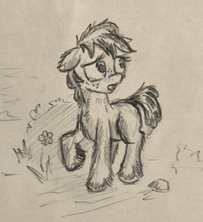 Size: 512x562 | Tagged: safe, artist:agm, earth pony, pony, blank flank, sketch, solo