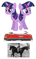 Size: 3109x5000 | Tagged: safe, twilight sparkle, horse, human, pony, unicorn, g4, conjoined, conjoined twins, fusion, irl, irl horse, irl human, locomotive, photo, pushmi-pullyu, train, twitwi (fusion), two heads, wat