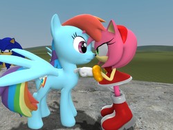 Size: 1024x768 | Tagged: safe, artist:pika-robo, rainbow dash, g4, 3d, amy rose, crossover, crossover shipping, female, gmod, hate, interspecies, jealous, love, male, overprotective, shipping, sonic the hedgehog, sonic the hedgehog (series), sonicdash, straight
