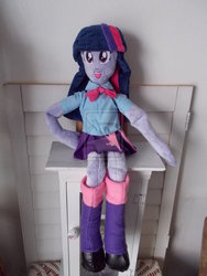 Size: 1024x1365 | Tagged: safe, artist:cinnamon-stitch, twilight sparkle, equestria girls, g4, irl, photo, plushie