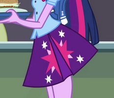 Size: 232x199 | Tagged: safe, screencap, twilight sparkle, equestria girls, g4, my little pony equestria girls, cropped, female, solo