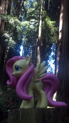 Size: 1080x1920 | Tagged: safe, fluttershy, g4, forest, funko, irl, photo, toy