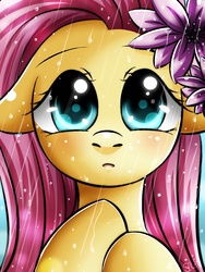 Size: 1050x1400 | Tagged: safe, artist:princesssilverglow, fluttershy, g4, female, flower, rain, solo