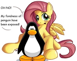 Size: 600x474 | Tagged: safe, artist:don-ko, edit, fluttershy, bird, pegasus, penguin, pony, g4, club penguin, engrish, not porn, oh no