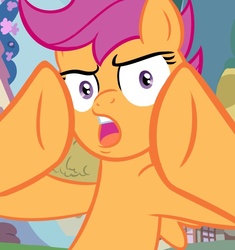 Size: 800x850 | Tagged: safe, artist:will, scootaloo, pony, g4, female, ponified, reaction image, solo