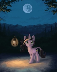 Size: 611x772 | Tagged: safe, artist:choedan-kal, oc, oc only, glowing, lantern, moon, night, solo